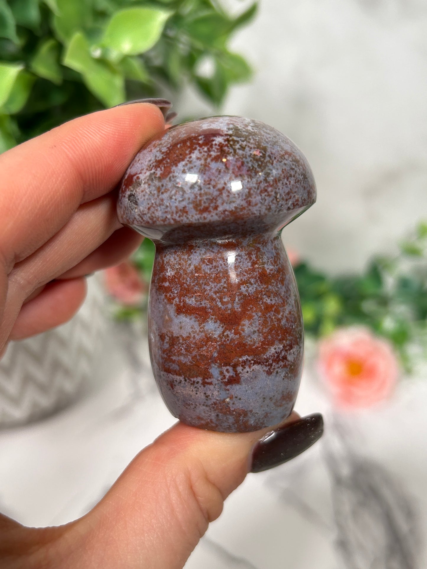 Sea Jasper Mushroom 10