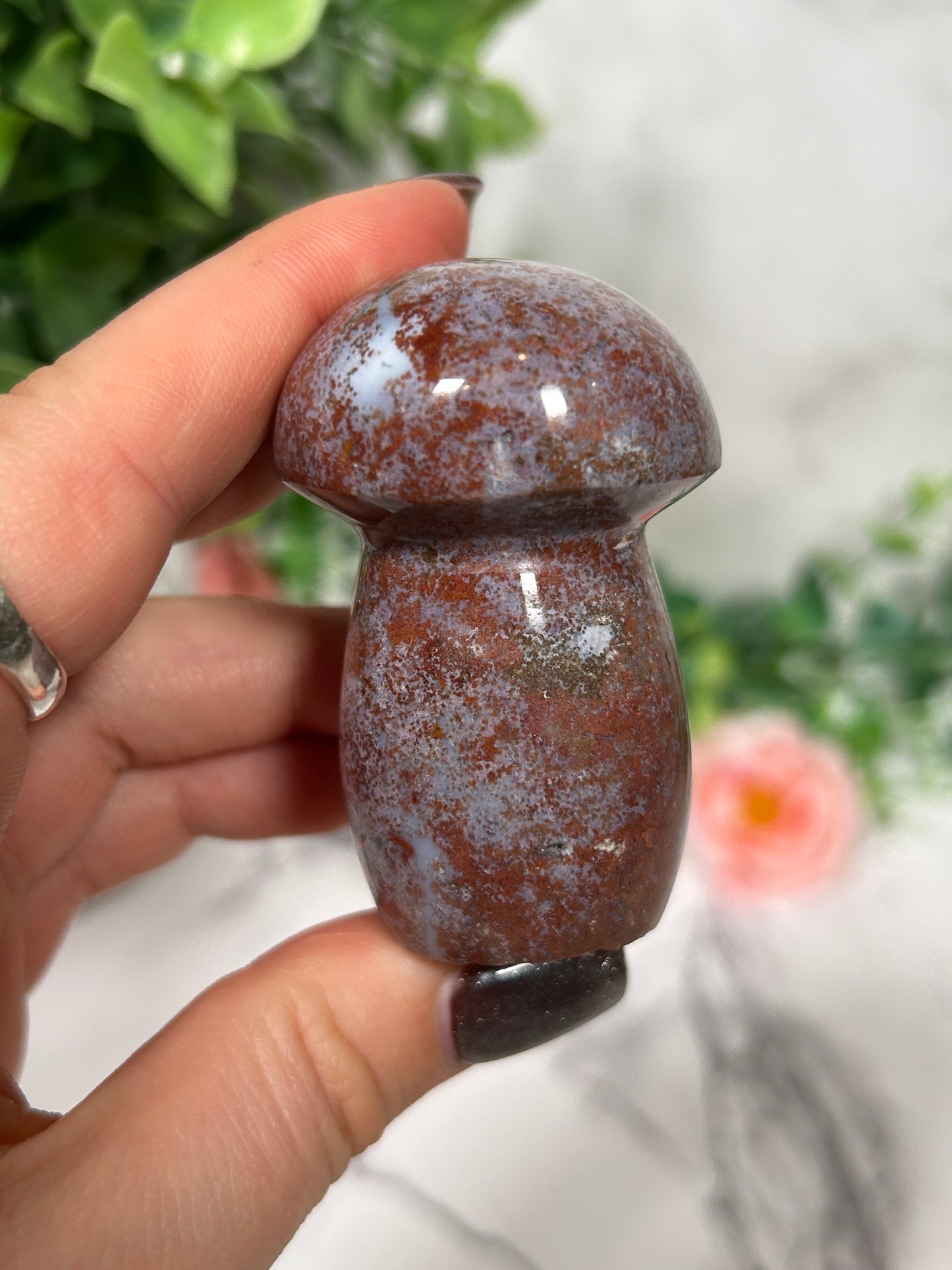 Sea Jasper Mushroom 10