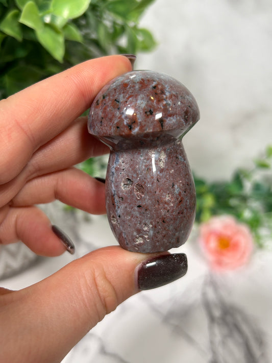 Sea Jasper Mushroom 8