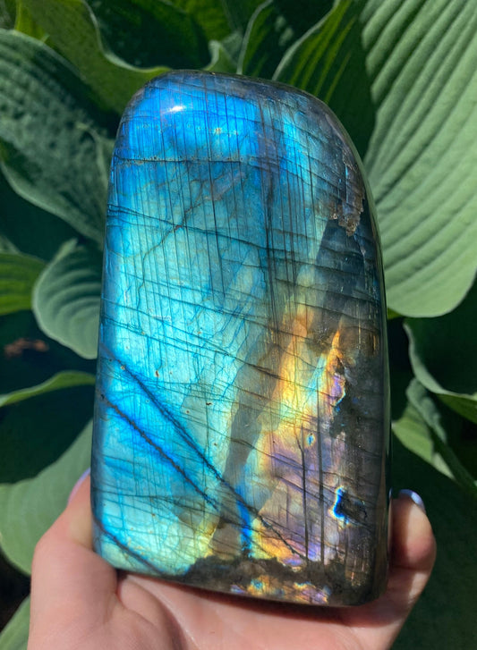 Labradorite Freeform - 125