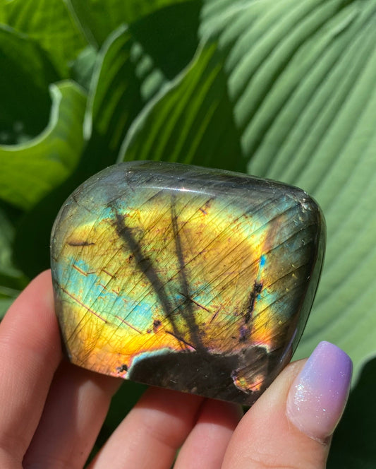 Labradorite Freeform - 25A