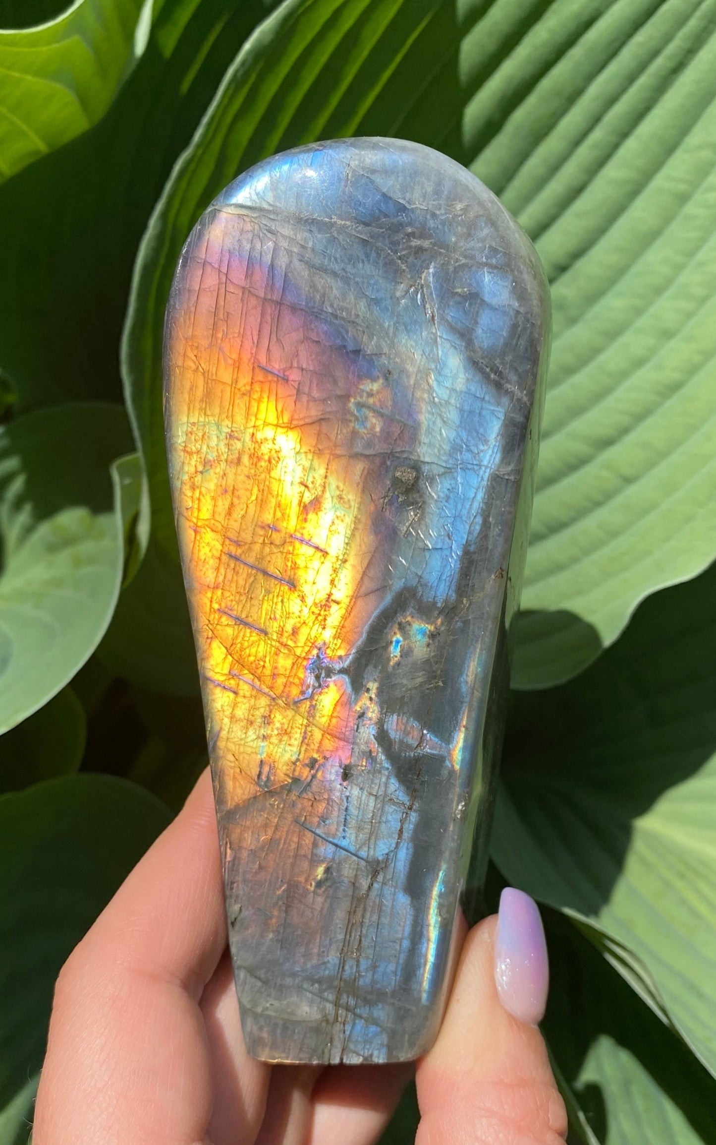 Labradorite Freeform - 94