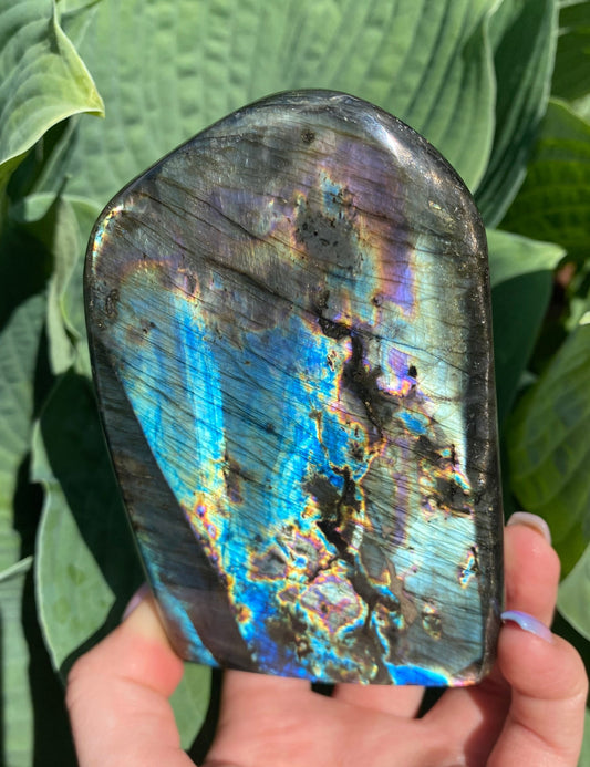 Labradorite Freeform - 91