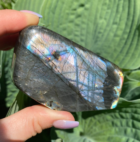 Labradorite Freeform - 32m