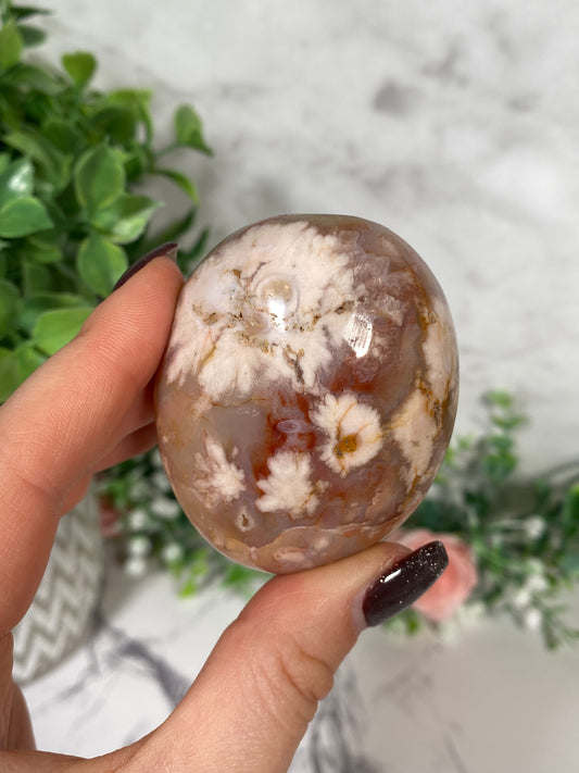 Flower agate palm 12i